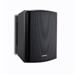 BIAMP - SDQ5Pir Zestaw głośnikowy 2x30W