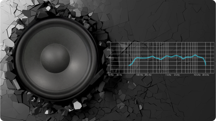 LAUDIO WALLY 4 PRO – Głośnik ścienny 100V - obrazek 12