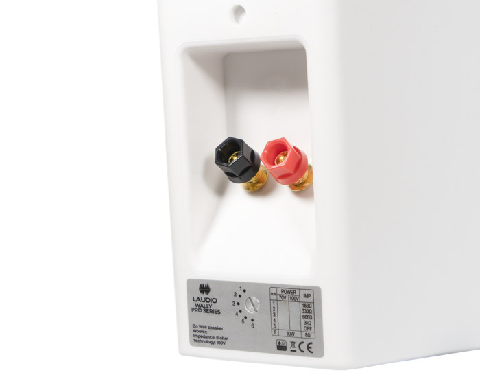 LAUDIO WALLY 4 PRO – Głośnik ścienny 100V - obrazek 6