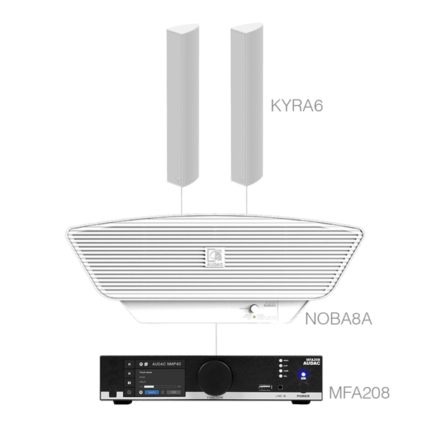 AUDAC CONGRESS6.3C